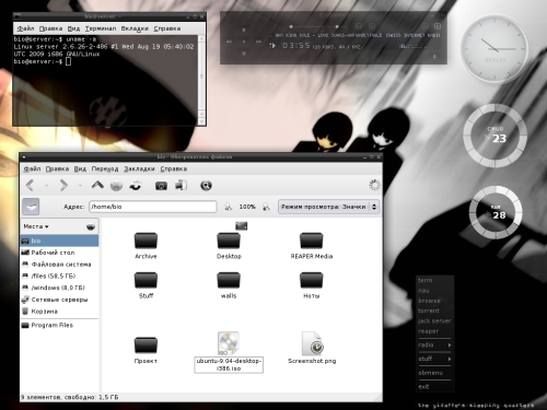 Скриншот: Мой Debian Lenny на openbox