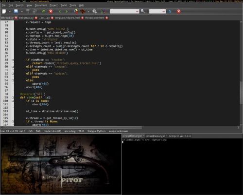 Скриншот: Ubuntu 9.10, Xmonad, geany, mplayer. Работаем ночью.