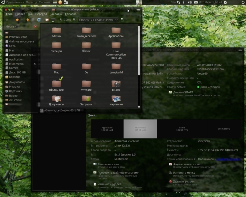 Скриншот: Ubuntu 10.04 Прозрачность, размытие окон.