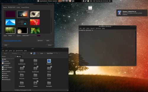 Скриншот: Обычная Ubuntu 10.10