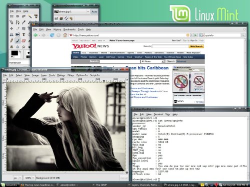 Linux Mint 3.0