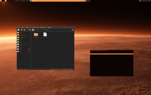 Скриншот: оранжевый awesomeWM