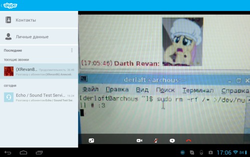 Скриншот: Android & Skype