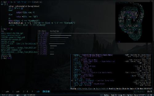 Скриншот: Кастомный Notion WM + Arch + vim(ну почти) + distribution.pl