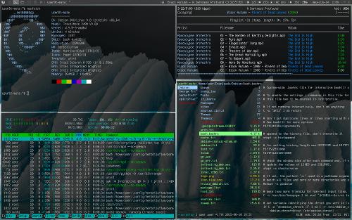 Скриншот: Debian 9 Stretch + herbstluftwm