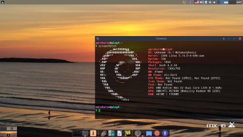 MX Linux на нетбуке