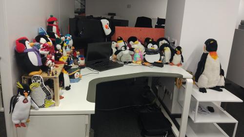 Скриншот: Мои пингвинчики
