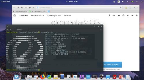 Скриншот: Похвальное слово elementary OS