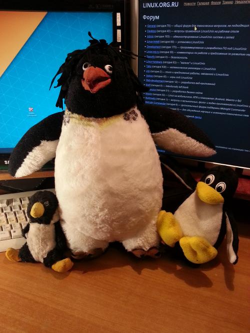 LOR, дай имя пингвину!