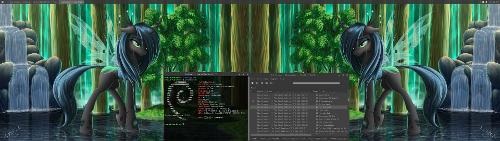 Debian 9.4 Stretch + XFCE4 + цветной жук