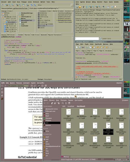 Скриншот: Настоящий old school - ThinkPad x201, VW Smalltalk, GemStone/S 64, KDE, Notion