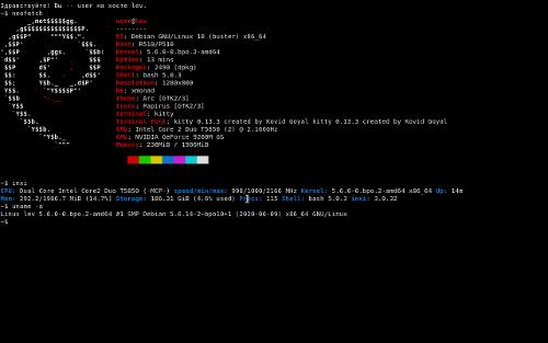 Скриншот: Минималистичный Debian XMonad