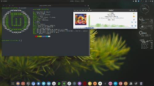 Скриншот: Ведро на A10-9600 + Linux Mint 20 + Gnome Shell