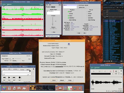 Скриншот: Solaris 8/x86 и настроенный звук