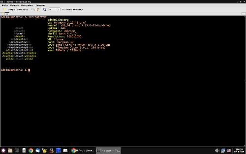 Скриншот: Screenfetch в Astra Linux