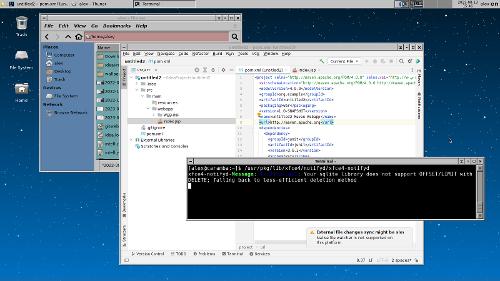 Скриншот: Последняя Intellij Idea на NetBSD - пусть икает техподдержка