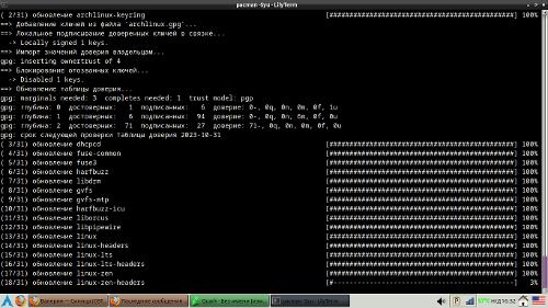 Скриншот: Arch Linux Live-USB