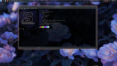 Slackware 15 + KDE 4 в 2024