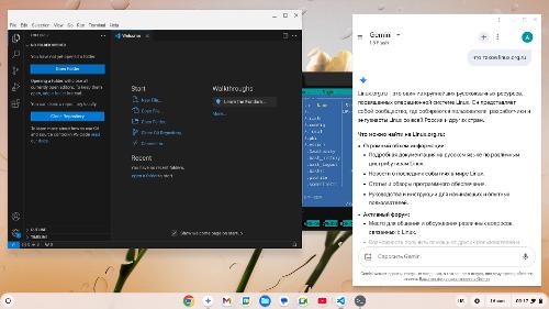 Chrome OS Flex c Linux для студентов