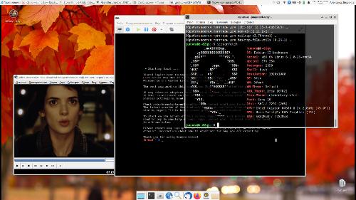 Скриншот: Debian XFCE + QEMU с Gentoo LiveCd