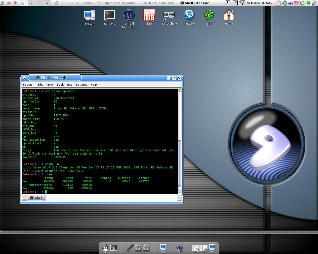 Steam overlay gentoo фото 39