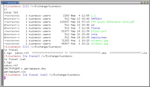 xterm, zsh с темой bart, ru_RU.UTF-8 и ls