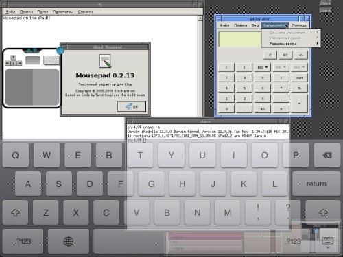 Скриншот: X11 приложения, нативно работающие на iPad