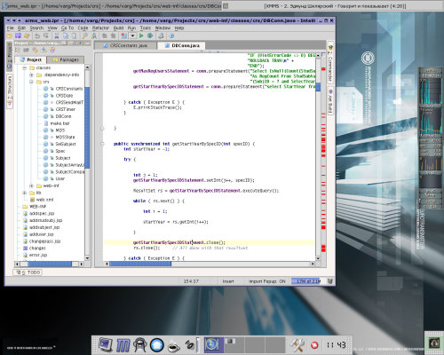 IntelliJ IDEA & Gentoo 2004.0