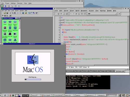 KDE2 + немного работы + VMWare + BasiliskII